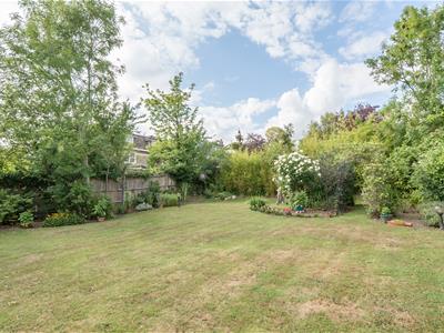 Garden:
